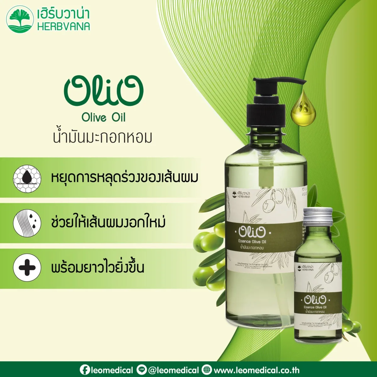 Olio Essence Olive Oil (น้ำมันมะกอกหอม)